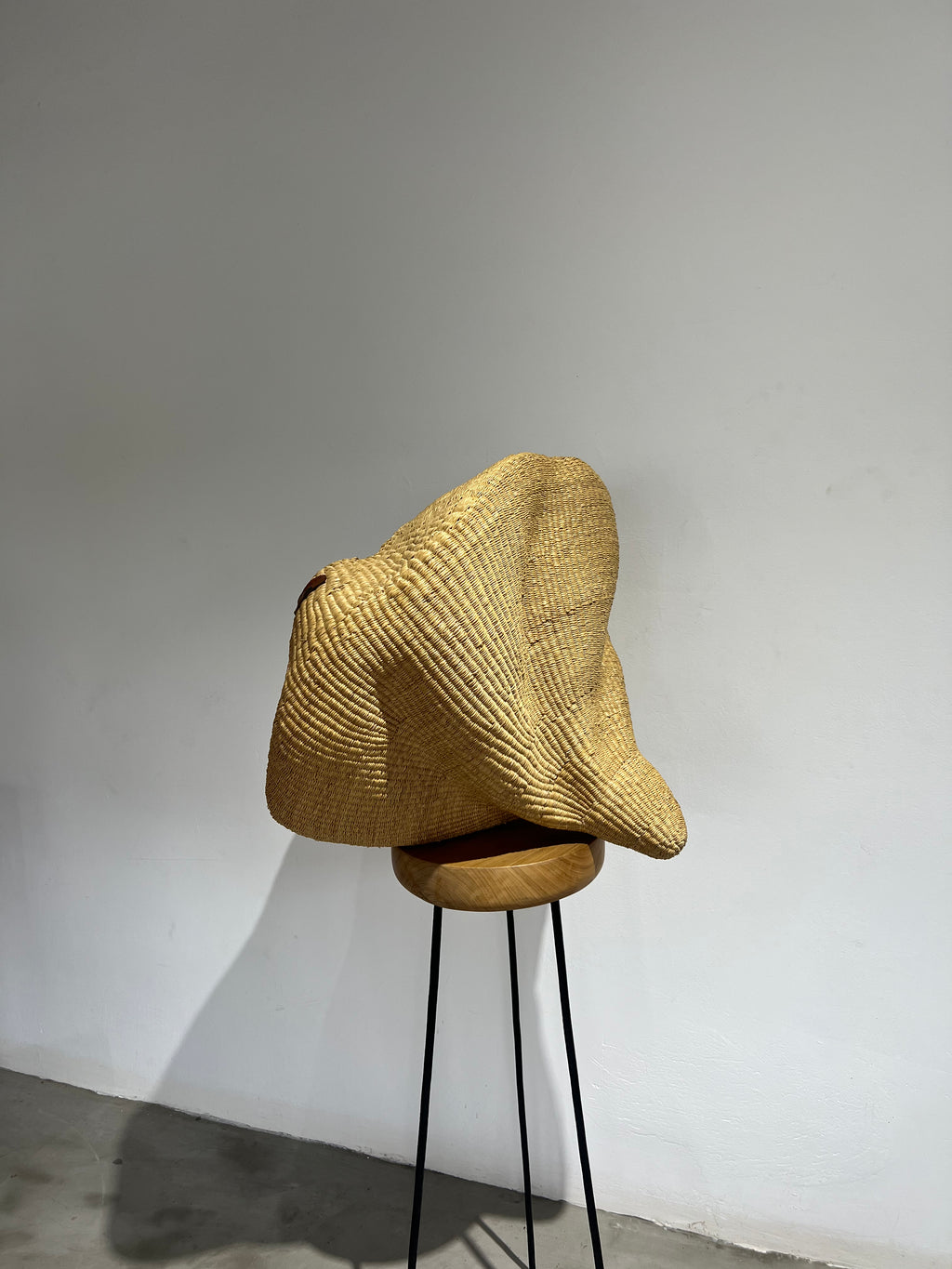 COQUILLE